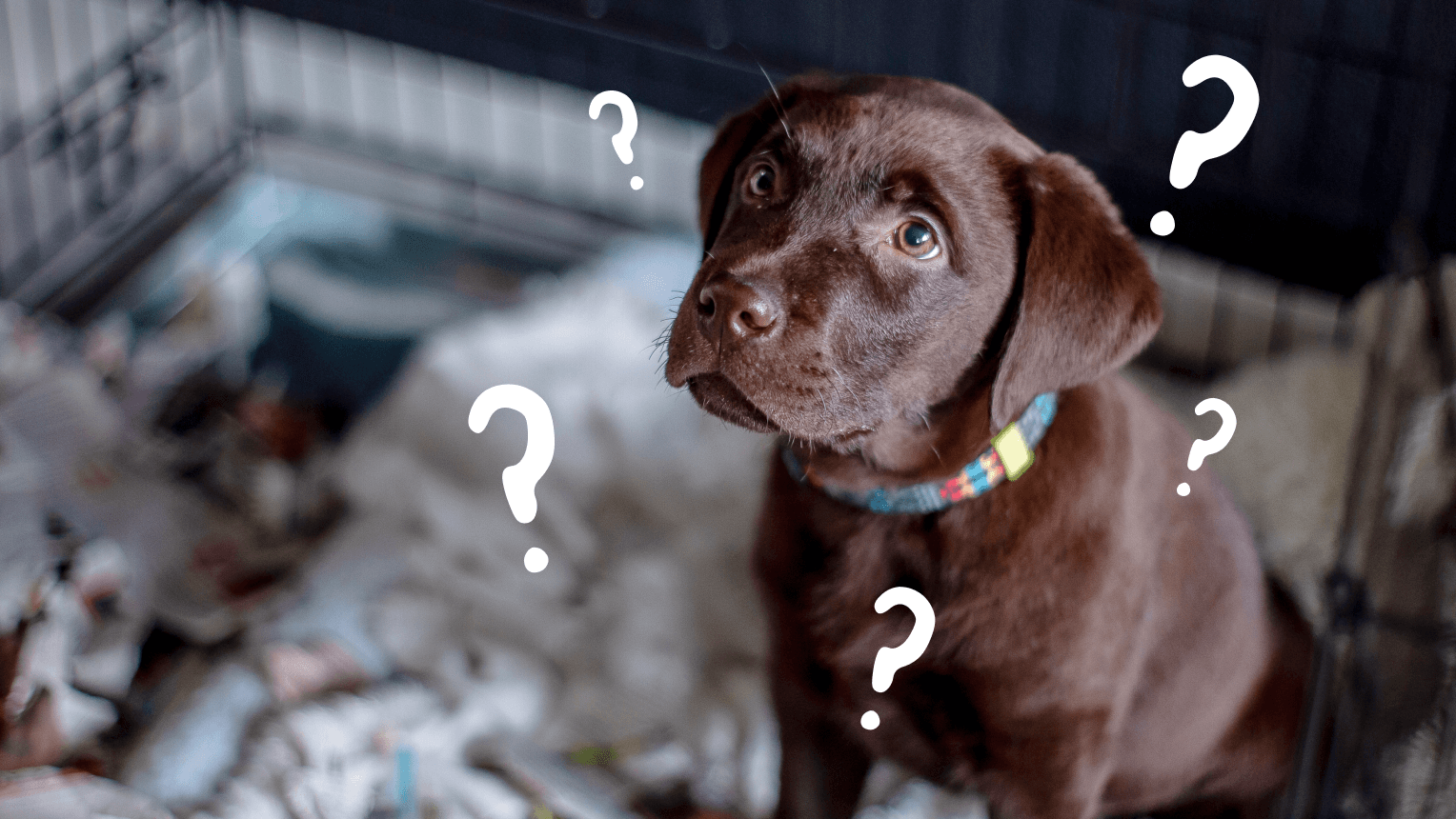 630KB 2001 null null null null null null 6 2003 null cwhLriTHtJyp M