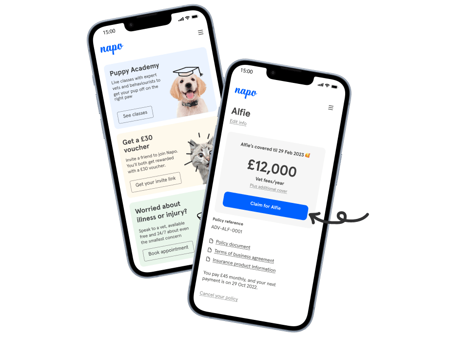 Vets that take best sale payments near me