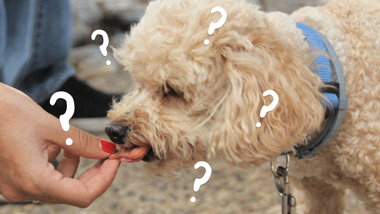 861KB 2001 null null null null null 3 2003 null vdvi50ATpZH6M