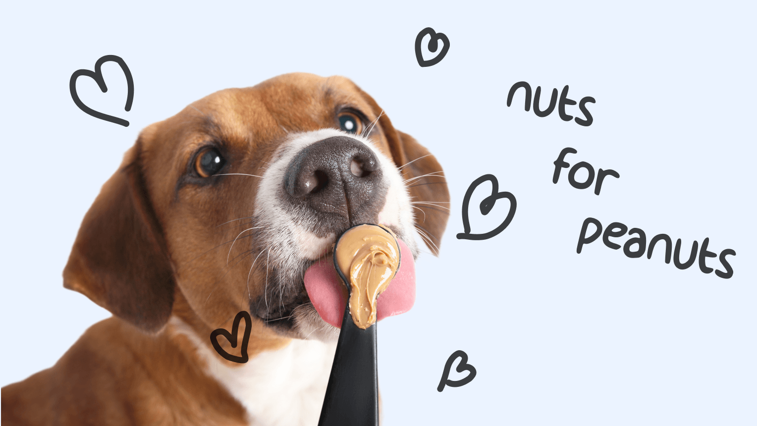 How much peanut butter can dogs have online